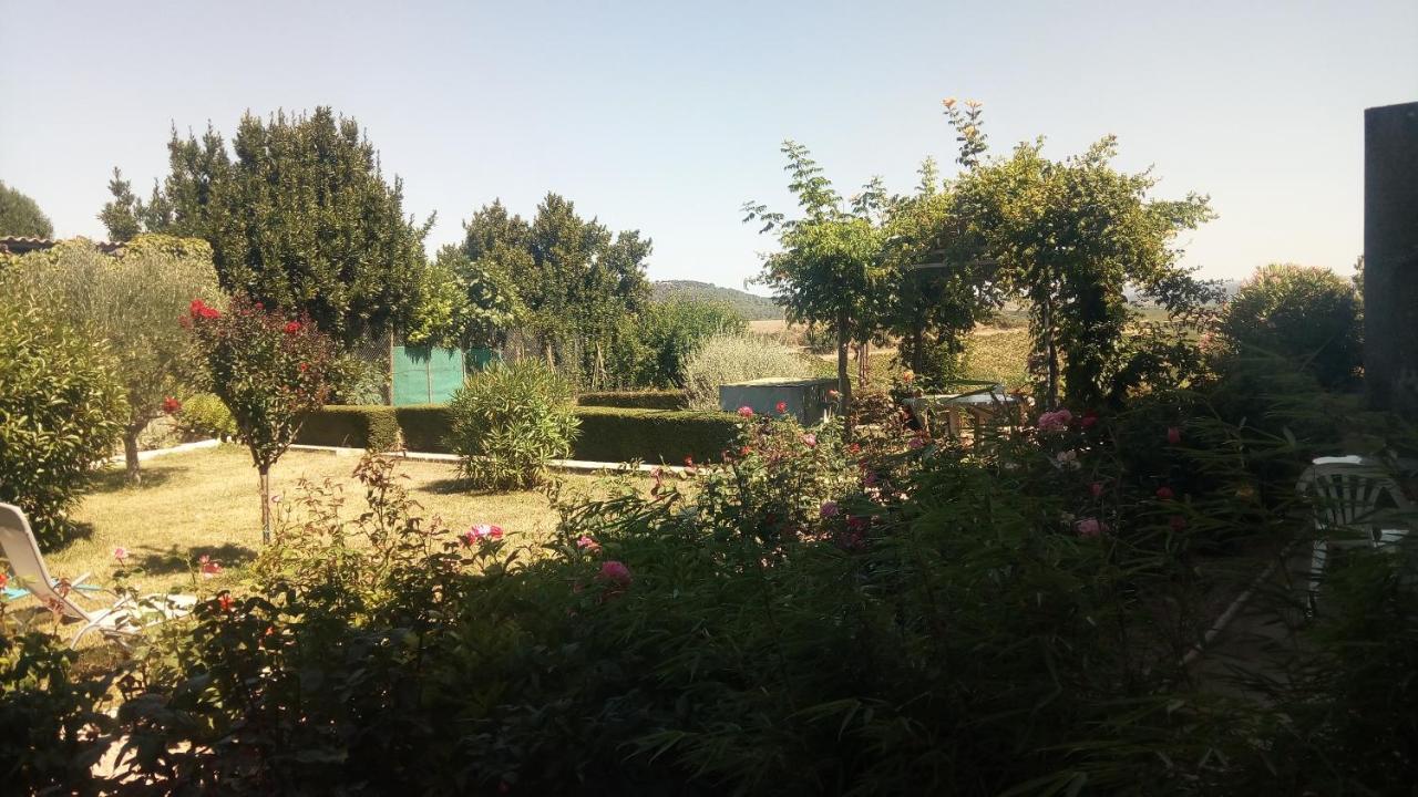 Villelongue-d'Aude La Vigneronne B&B 외부 사진